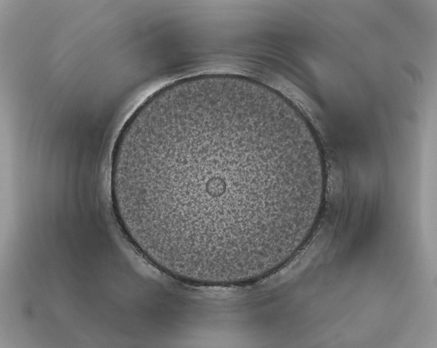 X0000115040836200911091403