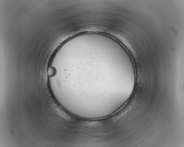 X0000115040837200911091403