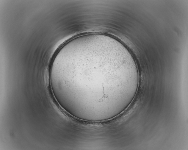 X0000115040838200911091403