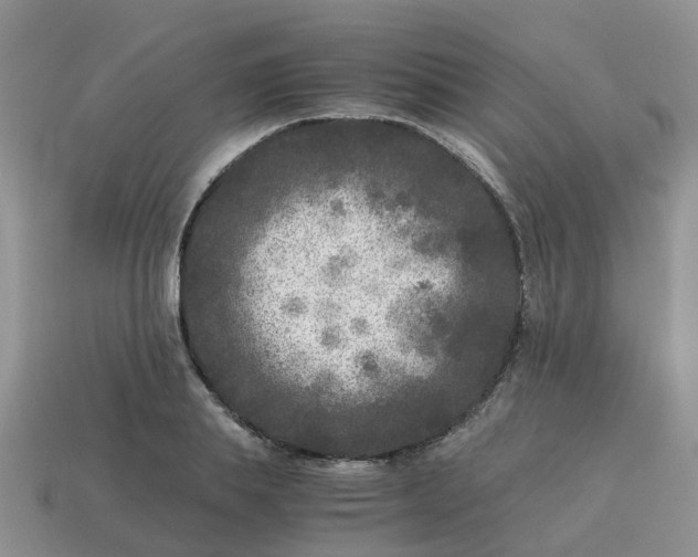 X0000115040839200911091403