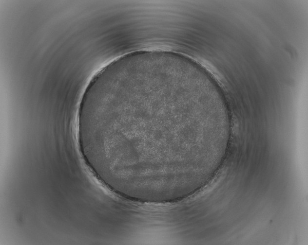 X0000115040840200911091403