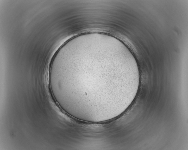 X0000115040844200911091403