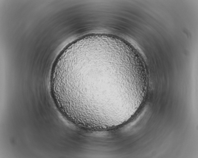 X0000115040845200911091403