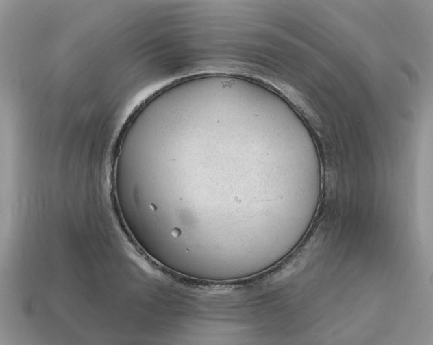 X0000115040846200911091403