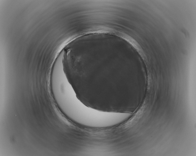 X0000115040850200911091403