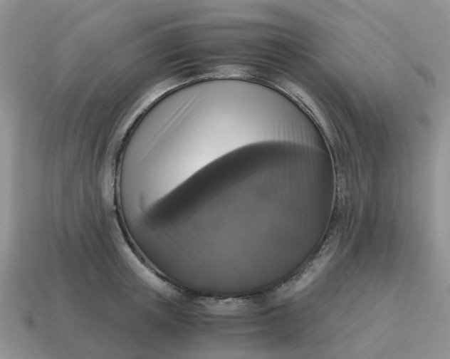 X0000115040851200911091403