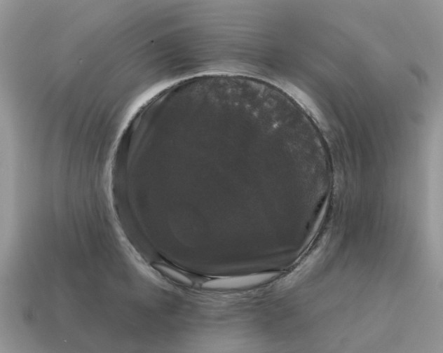 X0000115040854200911091403
