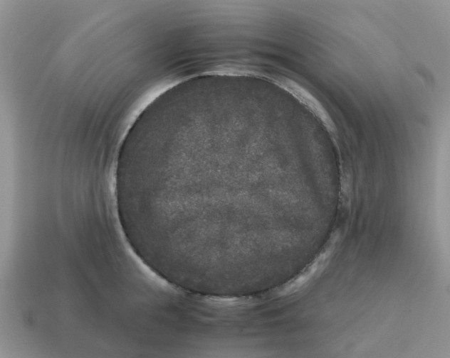 X0000115040855200911091403