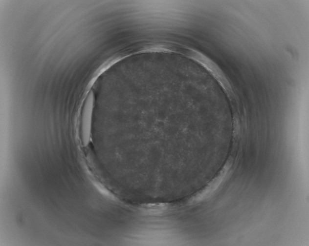 X0000115040858200911091403