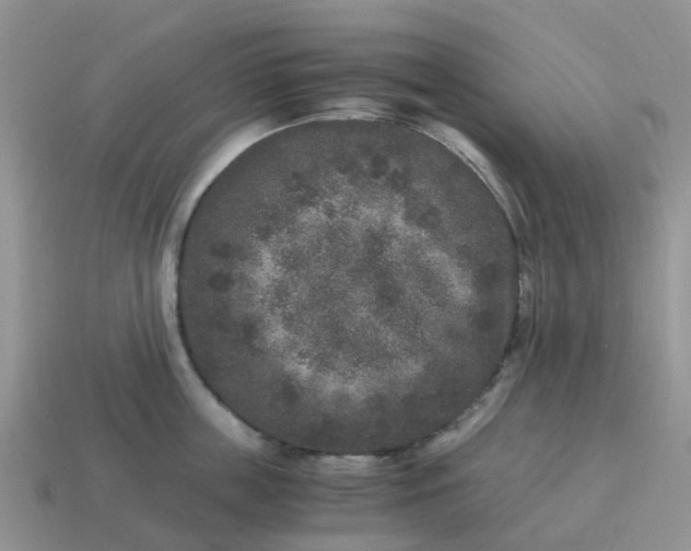 X0000115040859200911091403