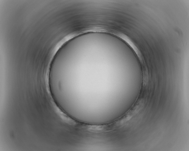 X0000115040861200911091403