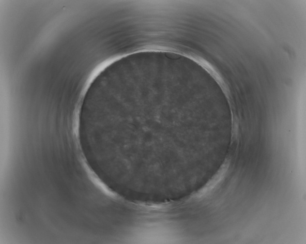 X0000115040862200911091403