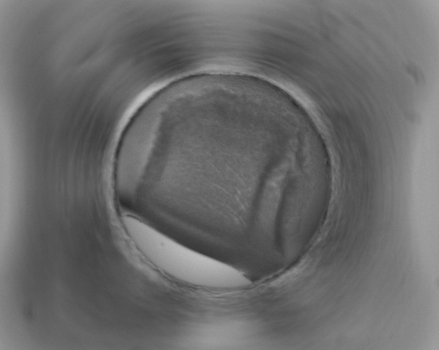 X0000115040864200911091403