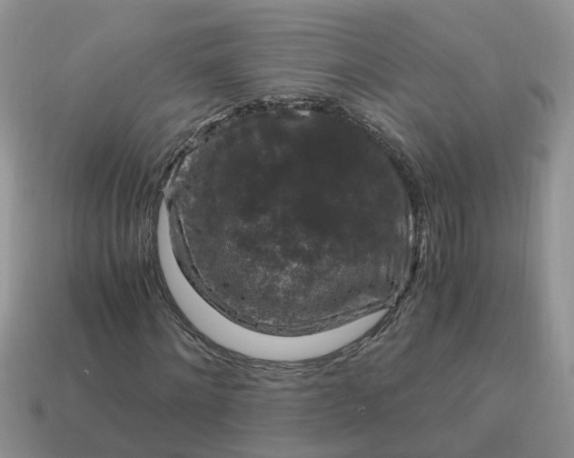 X0000115040868200911091402