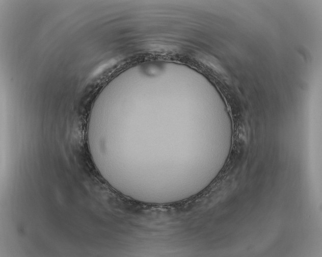 X0000115040869200911091402