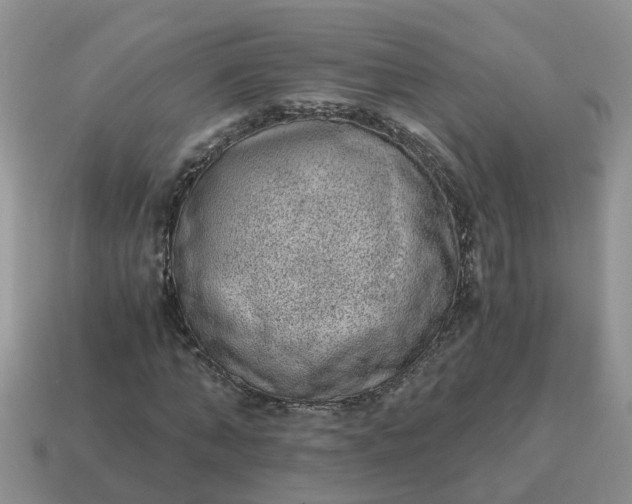 X0000115040870200911091402