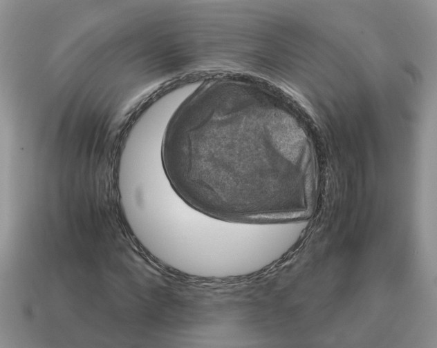 X0000115040872200911091402