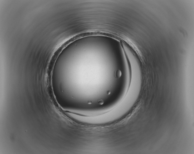 X0000115040876200911091402