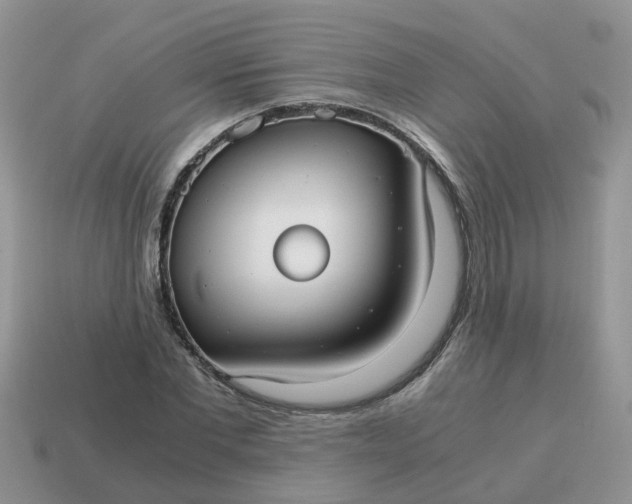 X0000115040877200911091402