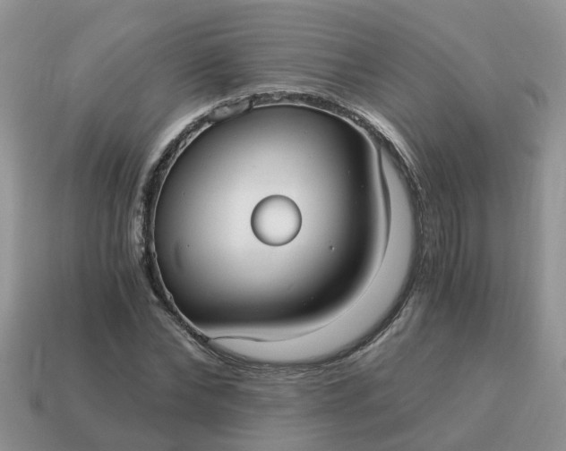 X0000115040878200911091402