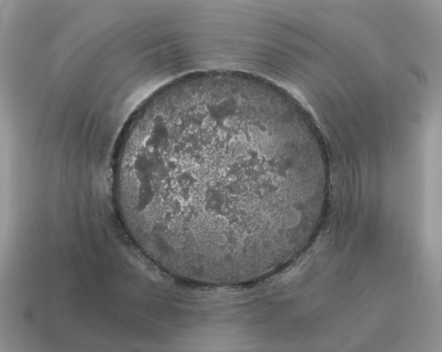 X0000115040879200911091402