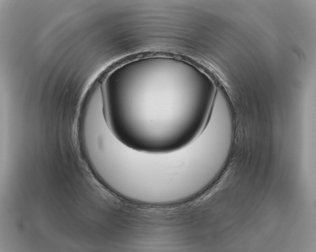 X0000115040880200911091402