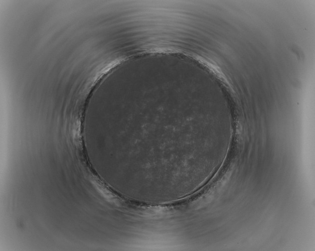 X0000115040881200911091402