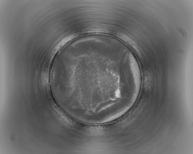 X0000115040882200911091402