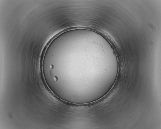 X0000115040884200911091402