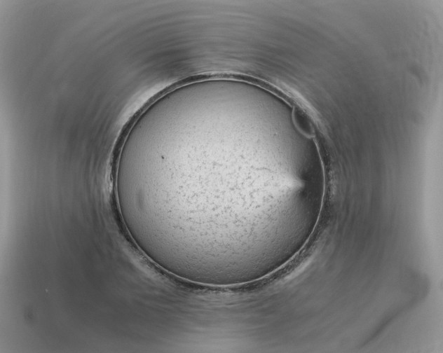 X0000115040885200911091402
