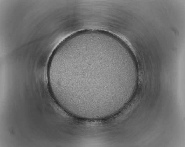 X0000115040887200911091402