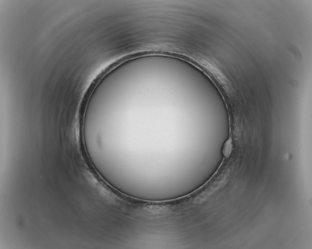 X0000115040888200911091402