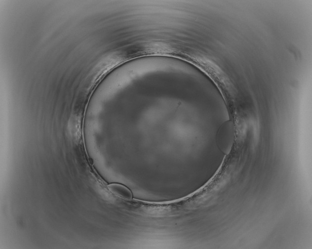 X0000115040889200911091402