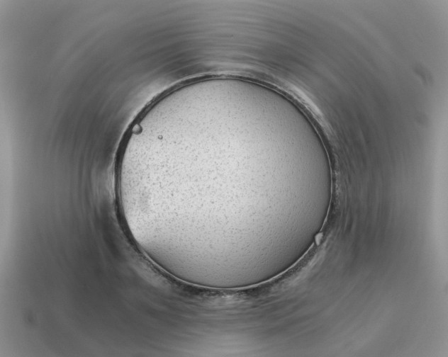 X0000115040891200911091402