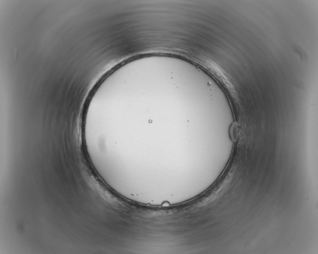 X0000115040892200911091402