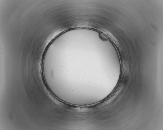 X0000115040893200911091402