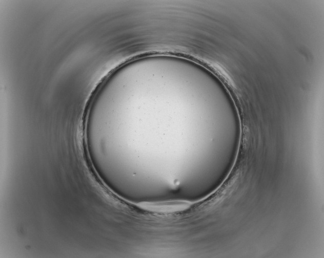 X0000115040895200911091402