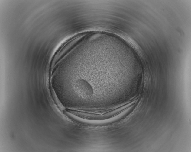 X0000115040896200911091402