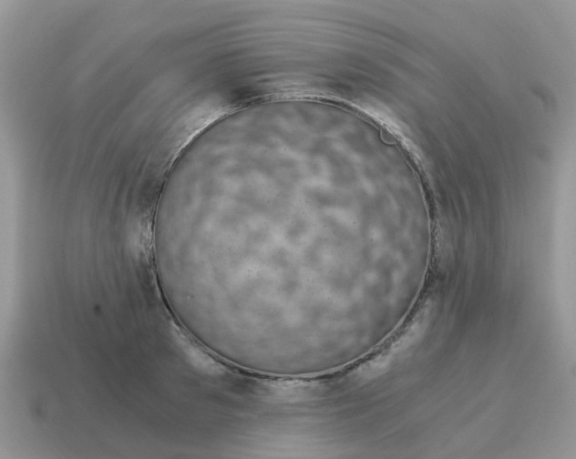 X0000115040897200911091402