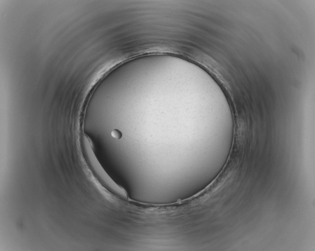 X0000115040898200911091402