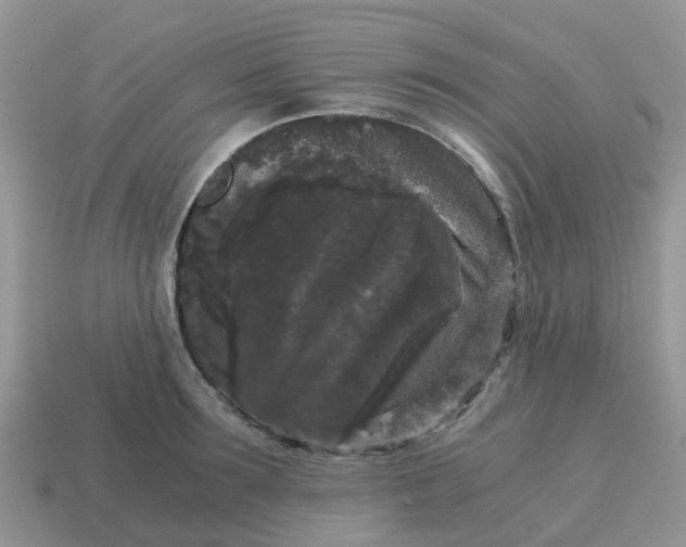 X0000115040899200911091402