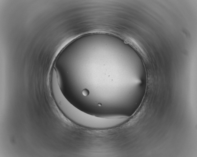 X0000115040900200911091402