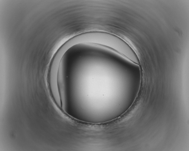 X0000115040901200911091402