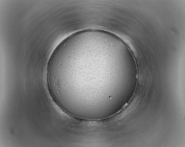 X0000115040903200911091402