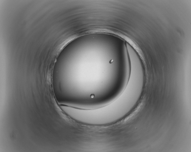 X0000115040905200911091402