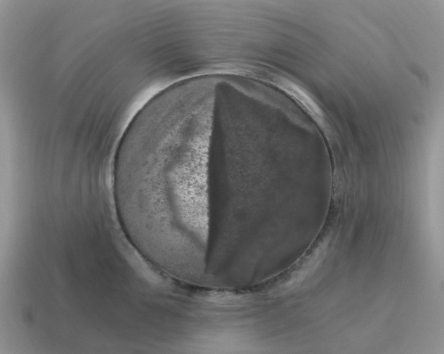 X0000115040907200911091402