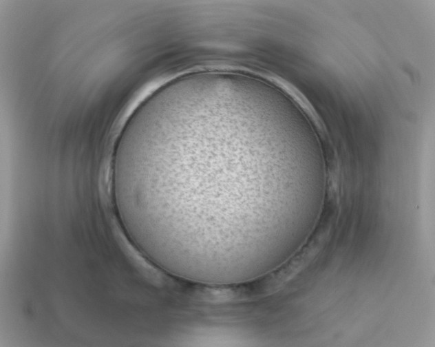 X0000115040911200911091401
