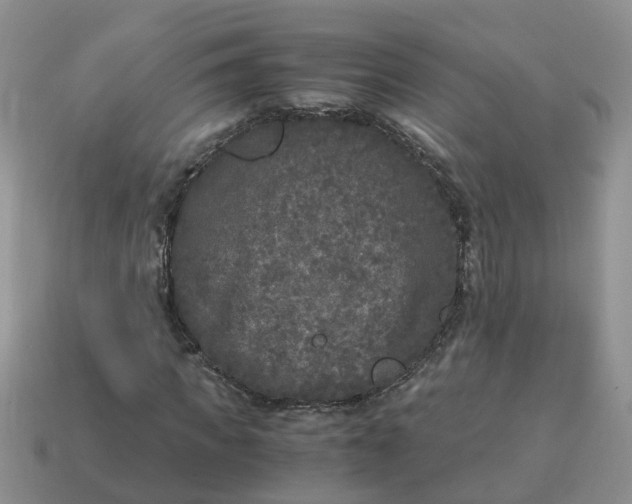 X0000115040917200911091401