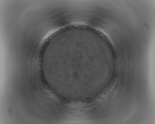 X0000115040919200911091401