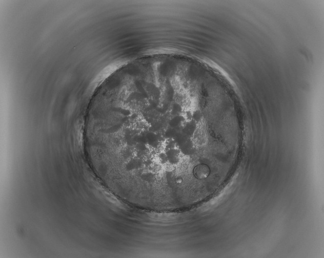 X0000115040921200911091401